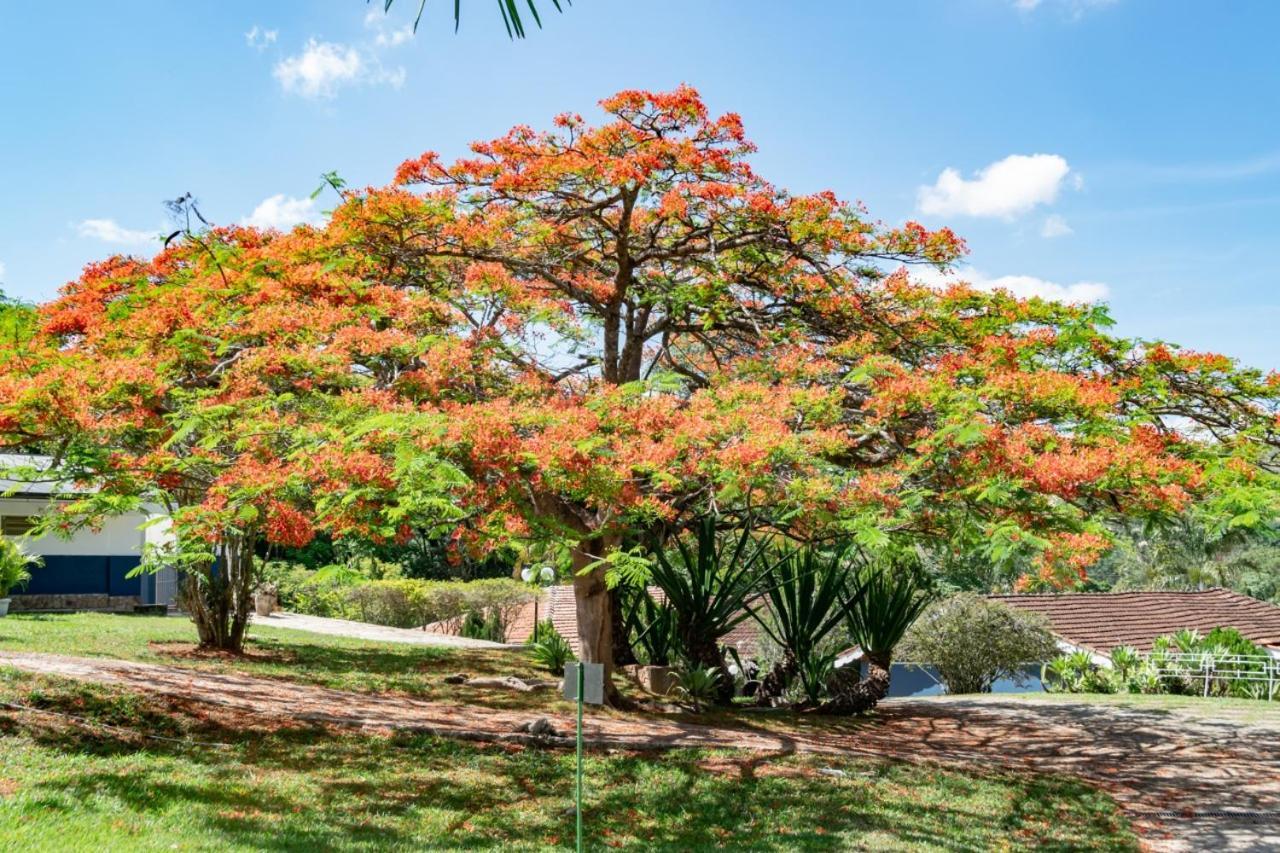 Villa Do Sossego Pousada Lindóia Kültér fotó